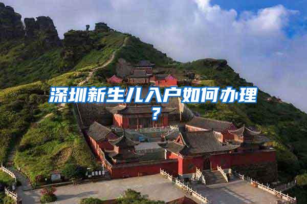 深圳新生儿入户如何办理？