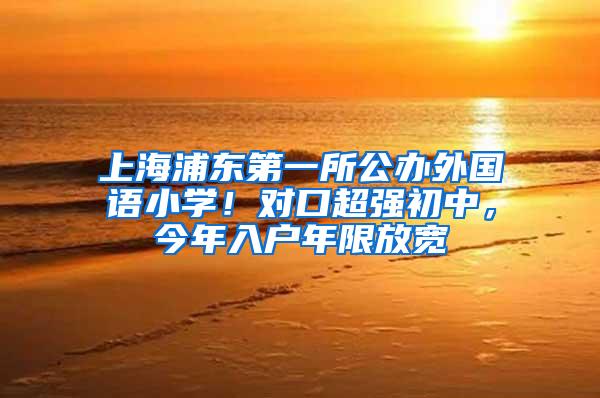 上海浦东第一所公办外国语小学！对口超强初中，今年入户年限放宽