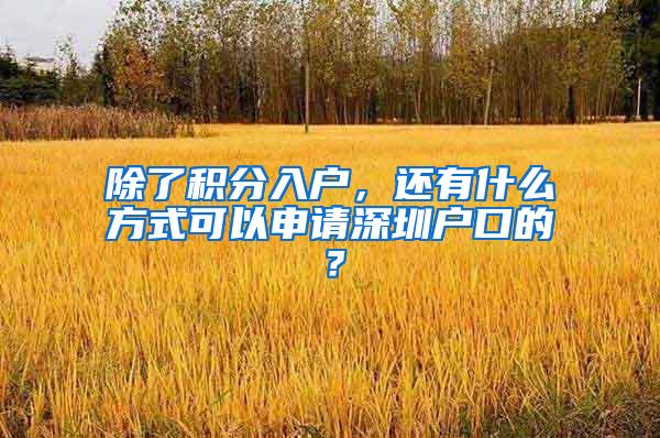 除了积分入户，还有什么方式可以申请深圳户口的？