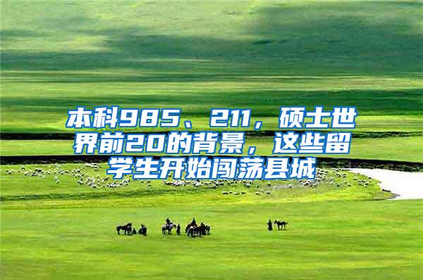 本科985、211，硕士世界前20的背景，这些留学生开始闯荡县城