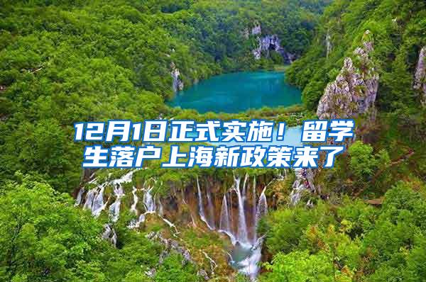 12月1日正式实施！留学生落户上海新政策来了