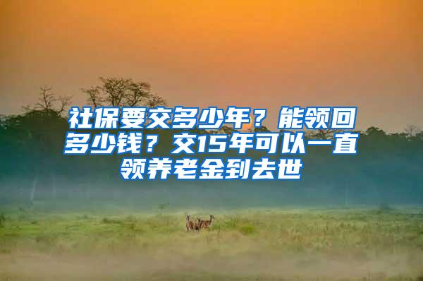 社保要交多少年？能领回多少钱？交15年可以一直领养老金到去世