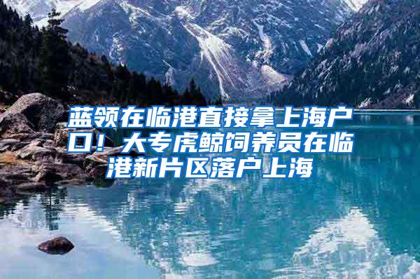 蓝领在临港直接拿上海户口！大专虎鲸饲养员在临港新片区落户上海