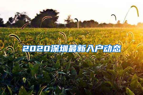 2020深圳最新入户动态