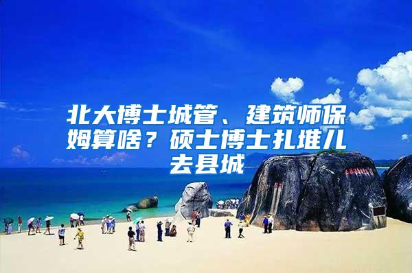 北大博士城管、建筑师保姆算啥？硕士博士扎堆儿去县城