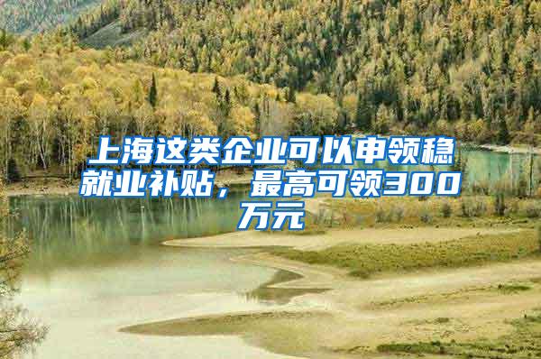 上海这类企业可以申领稳就业补贴，最高可领300万元