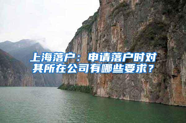 上海落户：申请落户时对其所在公司有哪些要求？