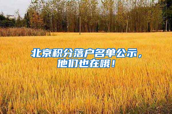 北京积分落户名单公示，他们也在哦！