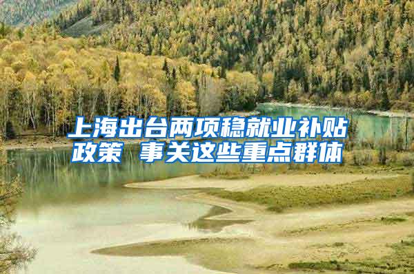 上海出台两项稳就业补贴政策 事关这些重点群体