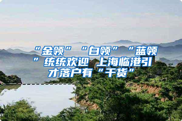 “金领”“白领”“蓝领”统统欢迎 上海临港引才落户有“干货”