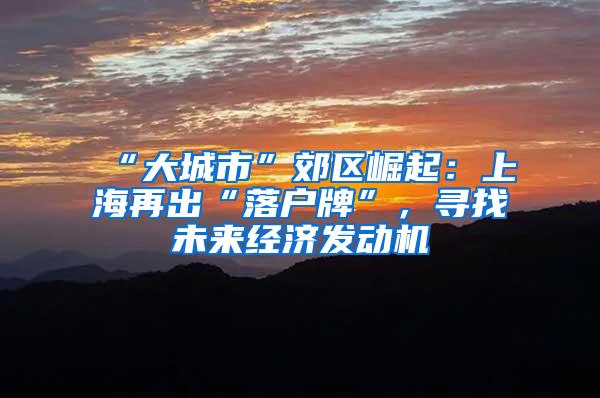 “大城市”郊区崛起：上海再出“落户牌”，寻找未来经济发动机