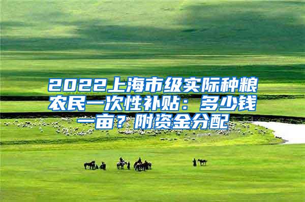 2022上海市级实际种粮农民一次性补贴：多少钱一亩？附资金分配