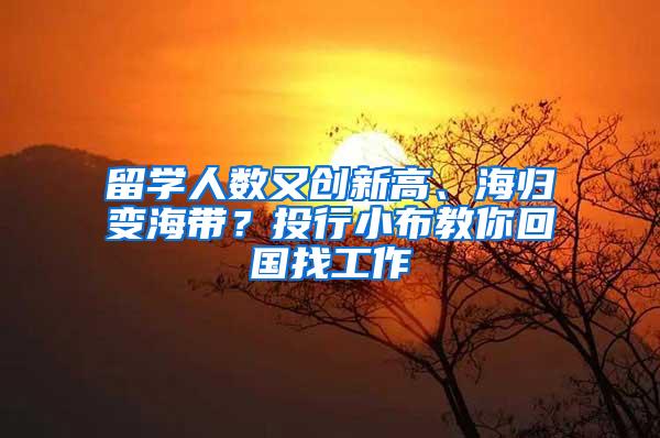 留学人数又创新高、海归变海带？投行小布教你回国找工作