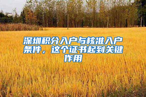 深圳积分入户与核准入户条件，这个证书起到关键作用