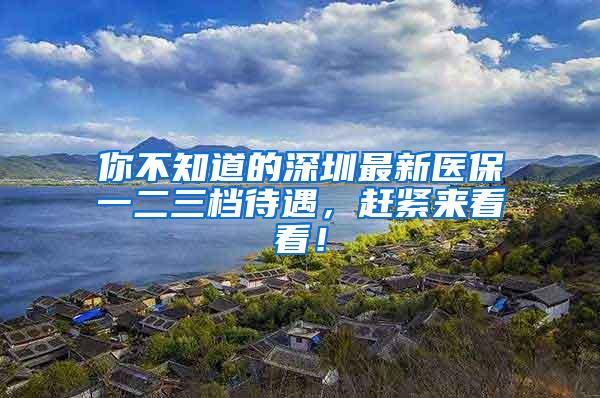 你不知道的深圳最新医保一二三档待遇，赶紧来看看！