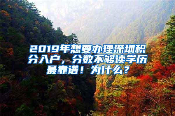 2019年想要办理深圳积分入户，分数不够读学历最靠谱！为什么？