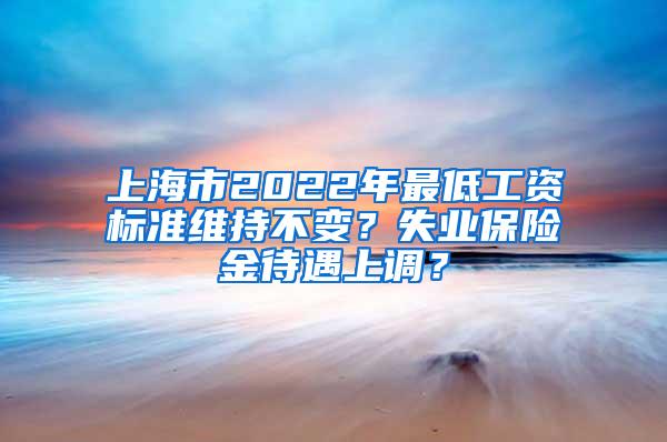 上海市2022年最低工资标准维持不变？失业保险金待遇上调？