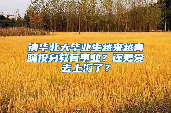 清华北大毕业生越来越青睐投身教育事业？还更爱去上海了？