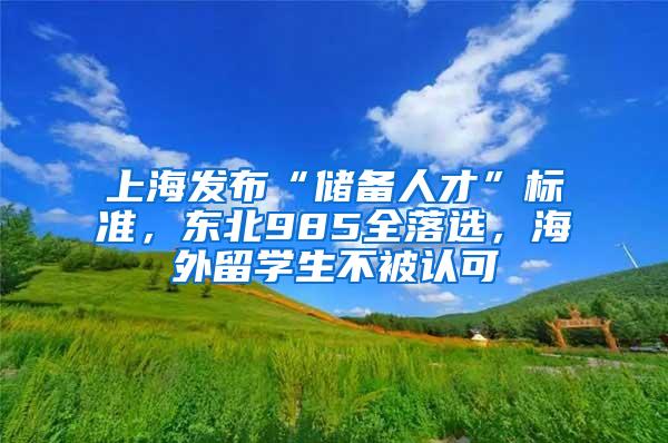 上海发布“储备人才”标准，东北985全落选，海外留学生不被认可