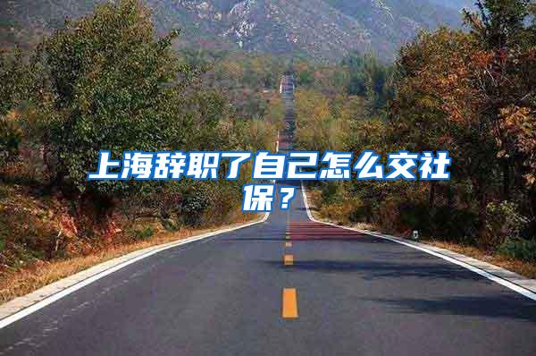 上海辞职了自己怎么交社保？
