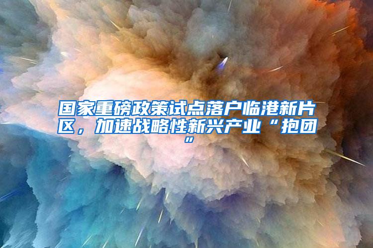 国家重磅政策试点落户临港新片区，加速战略性新兴产业“抱团”