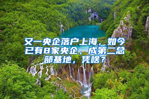 又一央企落户上海，如今已有8家央企，成第二总部基地，凭啥？