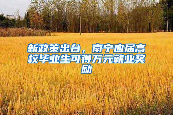 新政策出台，南宁应届高校毕业生可得万元就业奖励