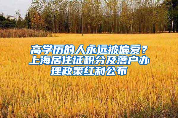 高学历的人永远被偏爱？上海居住证积分及落户办理政策红利公布