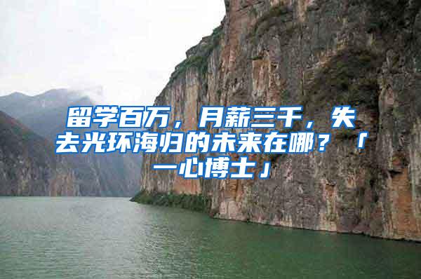 留学百万，月薪三千，失去光环海归的未来在哪？「一心博士」