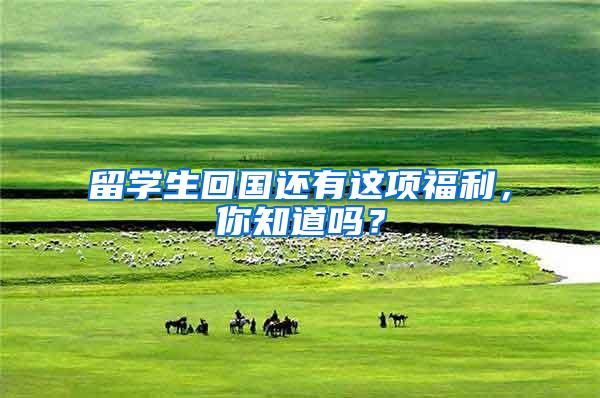 留学生回国还有这项福利，你知道吗？