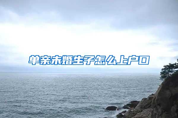 单亲未婚生子怎么上户口