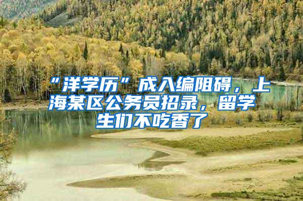 “洋学历”成入编阻碍，上海某区公务员招录，留学生们不吃香了