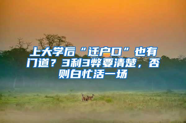 上大学后“迁户口”也有门道？3利3弊要清楚，否则白忙活一场