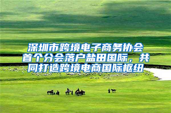 深圳市跨境电子商务协会首个分会落户盐田国际，共同打造跨境电商国际枢纽