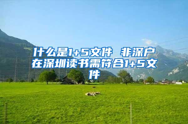 什么是1+5文件 非深户在深圳读书需符合1+5文件