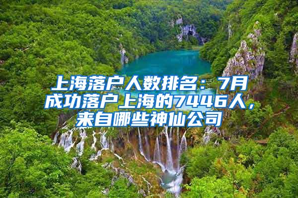 上海落户人数排名：7月成功落户上海的7446人，来自哪些神仙公司
