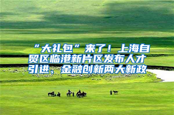 “大礼包”来了！上海自贸区临港新片区发布人才引进、金融创新两大新政