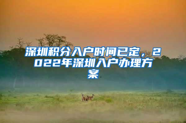 深圳积分入户时间已定，2022年深圳入户办理方案