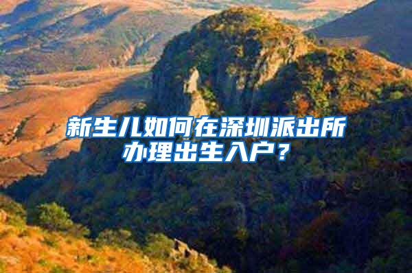 新生儿如何在深圳派出所办理出生入户？