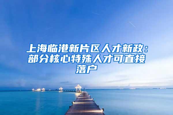 上海临港新片区人才新政：部分核心特殊人才可直接落户