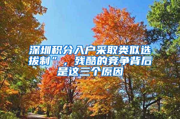 深圳积分入户采取类似选拔制”，残酷的竞争背后是这三个原因