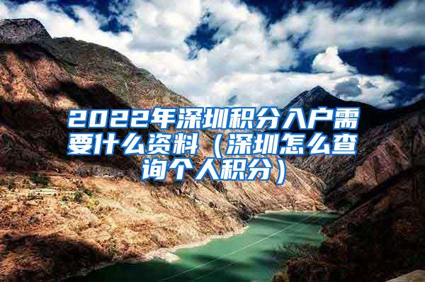 2022年深圳积分入户需要什么资料（深圳怎么查询个人积分）