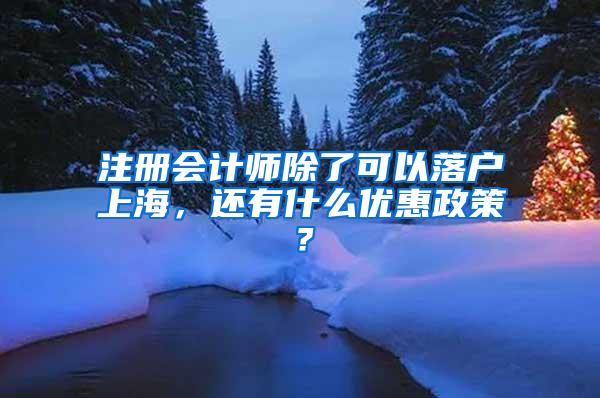 注册会计师除了可以落户上海，还有什么优惠政策？