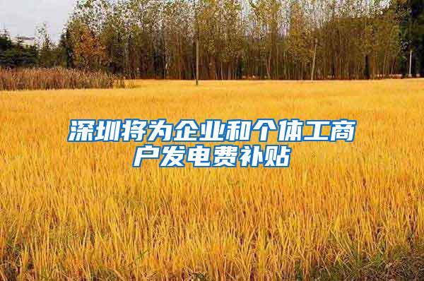 深圳将为企业和个体工商户发电费补贴