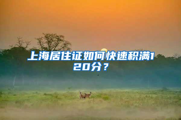 上海居住证如何快速积满120分？