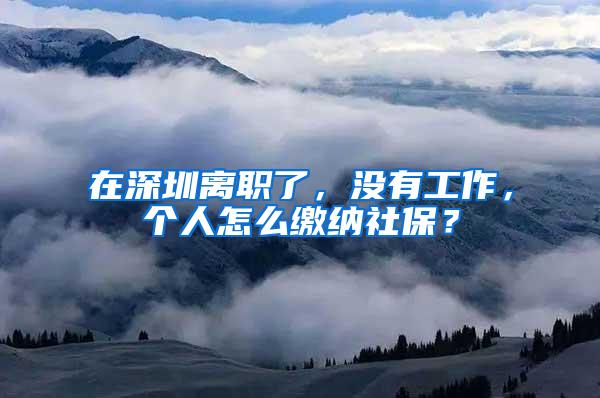 在深圳离职了，没有工作，个人怎么缴纳社保？