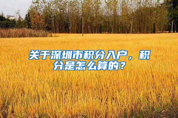 关于深圳市积分入户，积分是怎么算的？