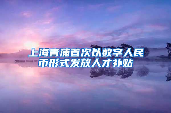 上海青浦首次以数字人民币形式发放人才补贴