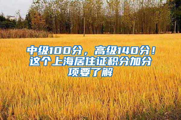 中级100分，高级140分！这个上海居住证积分加分项要了解