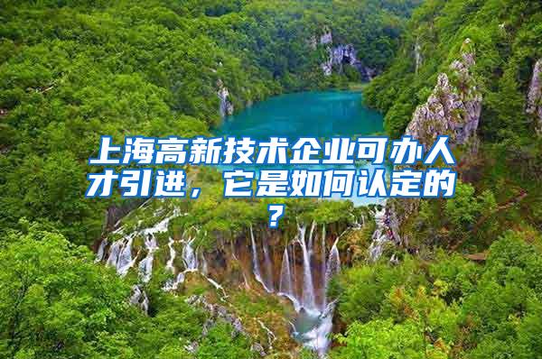 上海高新技术企业可办人才引进，它是如何认定的？